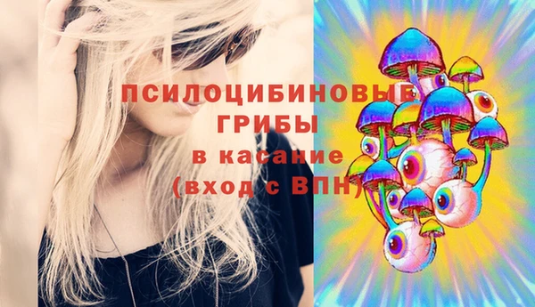 спиды Зерноград
