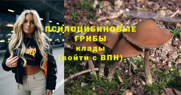 прущий лед Зеленодольск