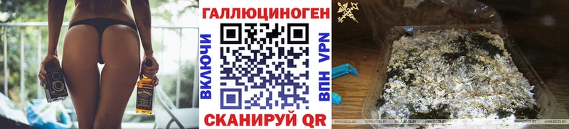 Псилоцибиновые грибы Psilocybine cubensis  Купить где  Мураши 